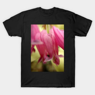 Bleeding Heart T-Shirt